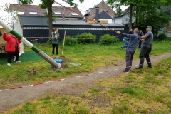 Maibaum_2019-15