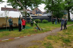 Maibaum_2019-16
