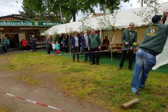 Maibaum_2019-23