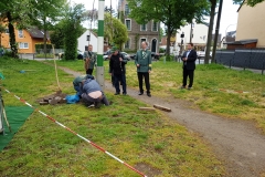 Maibaum_2019-24