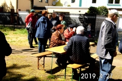 Maibaum_2019-43